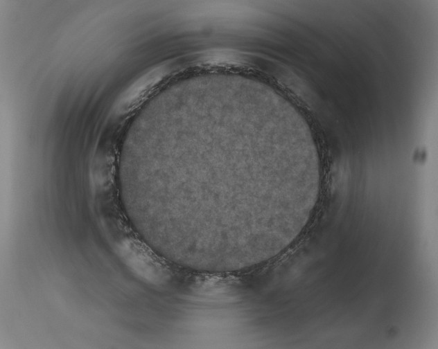 X0000112470824200909281043