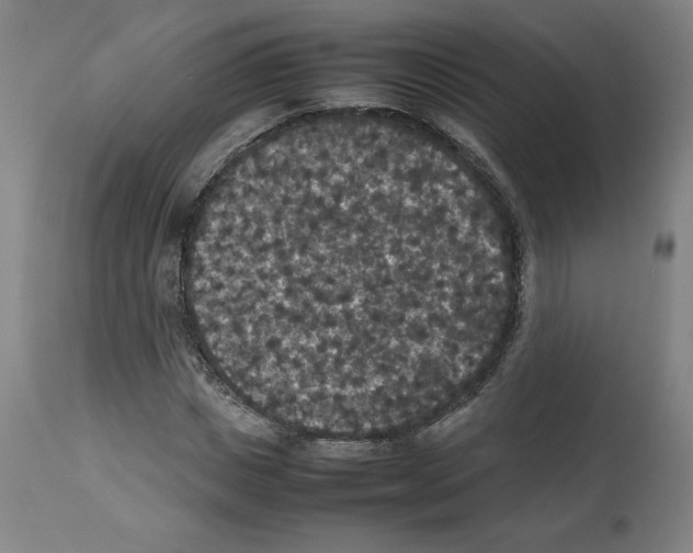 X0000112470825200909281043