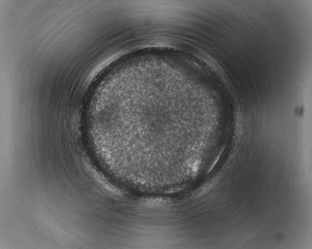 X0000112470826200909281043