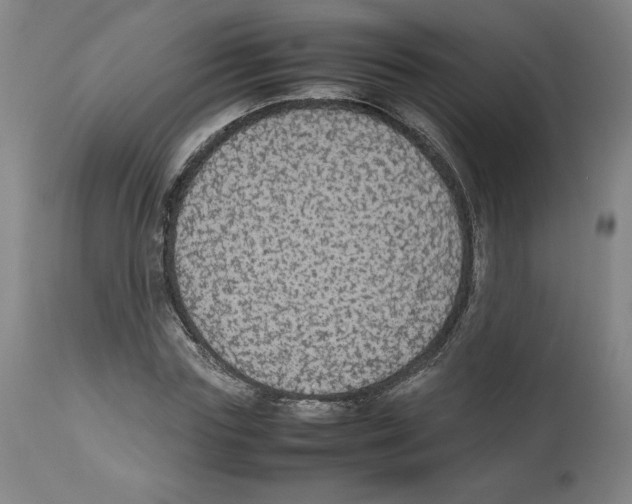 X0000112470827200909281043