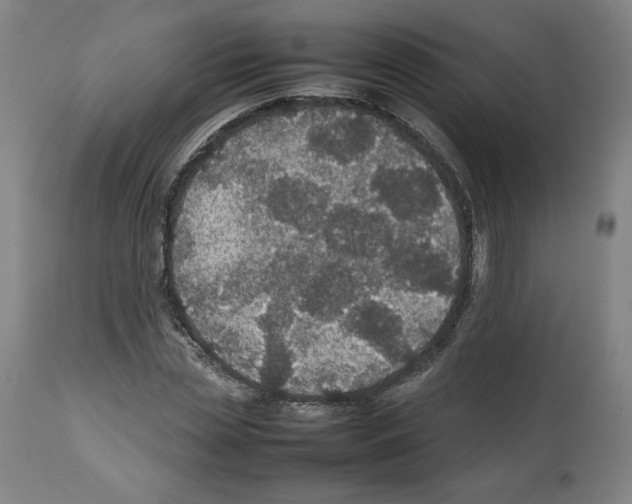 X0000112470829200909281043