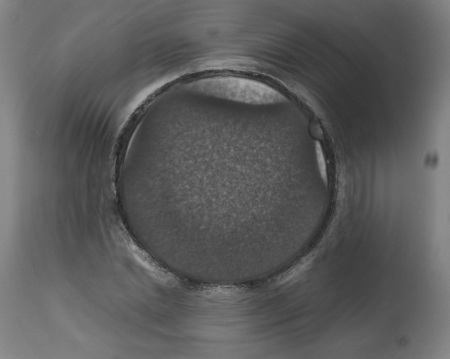 X0000112470830200909281043