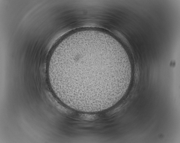 X0000112470831200909281043