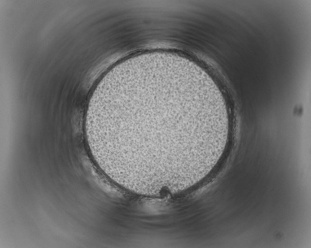 X0000112470833200909281044