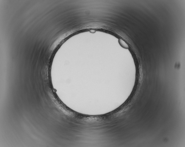 X0000112470834200909281044
