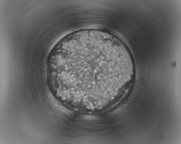 X0000112470835200909281044