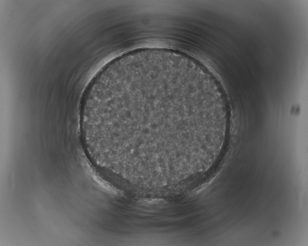 X0000112470837200909281044