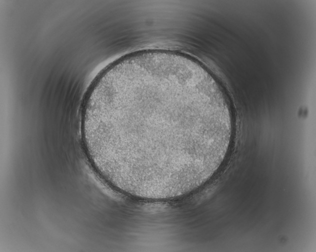 X0000112470838200909281044