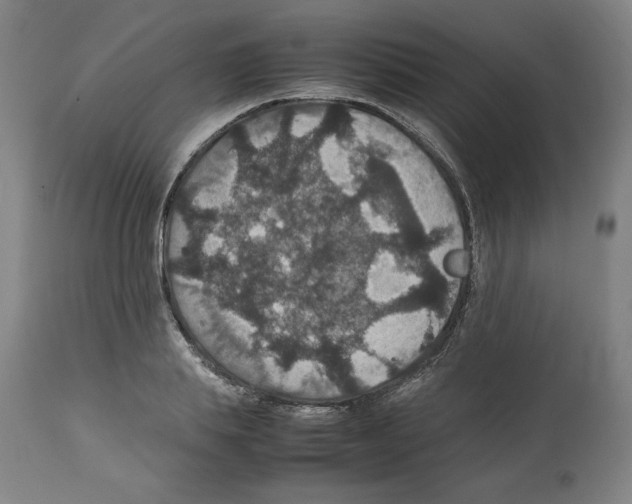 X0000112470839200909281044