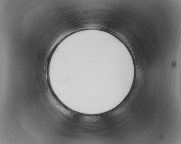 X0000112470843200909281044