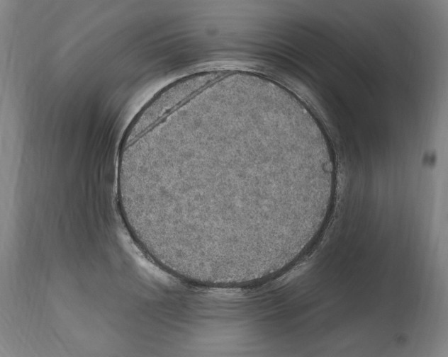 X0000112470844200909281044