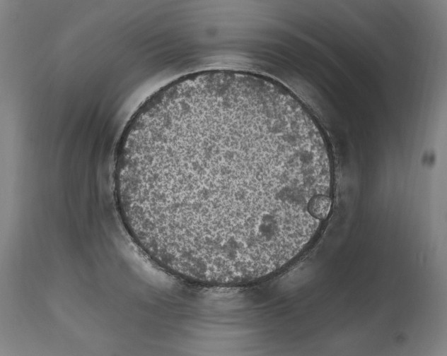 X0000112470846200909281044