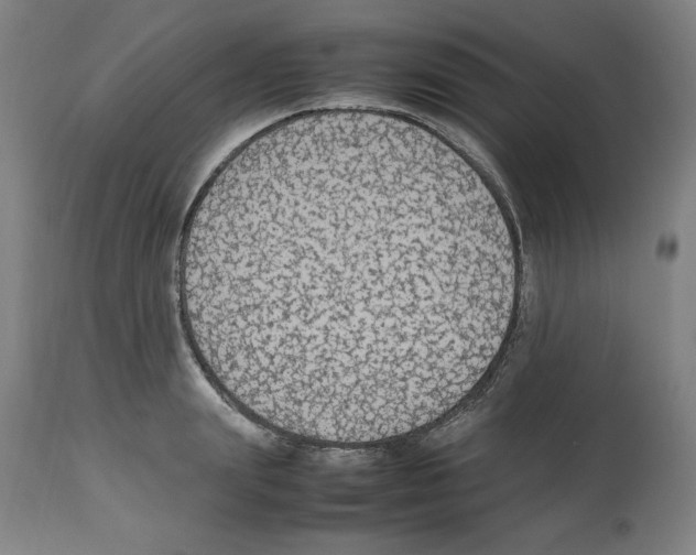 X0000112470847200909281044