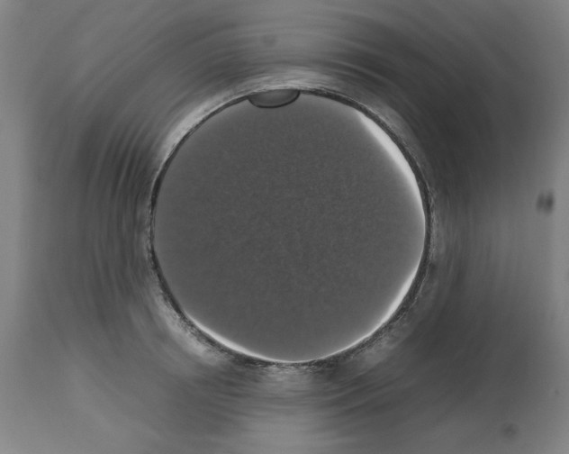 X0000112470850200909281044