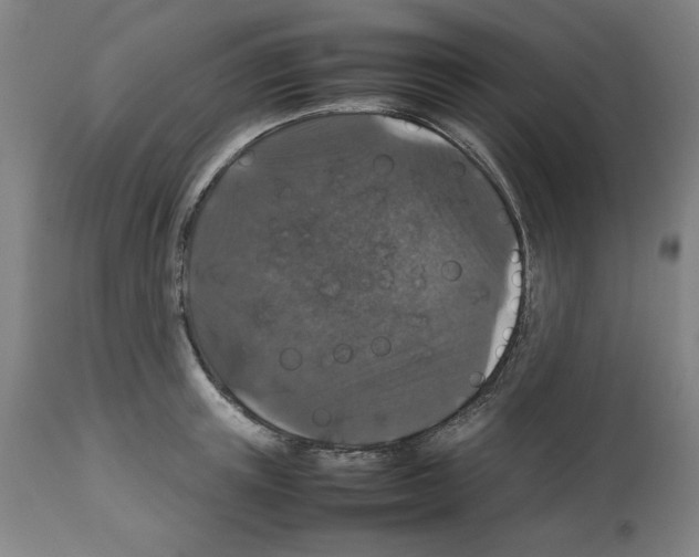 X0000112470851200909281044