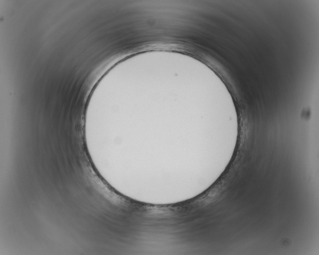 X0000112470852200909281044