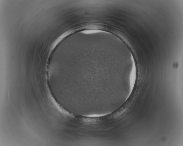 X0000112470853200909281044