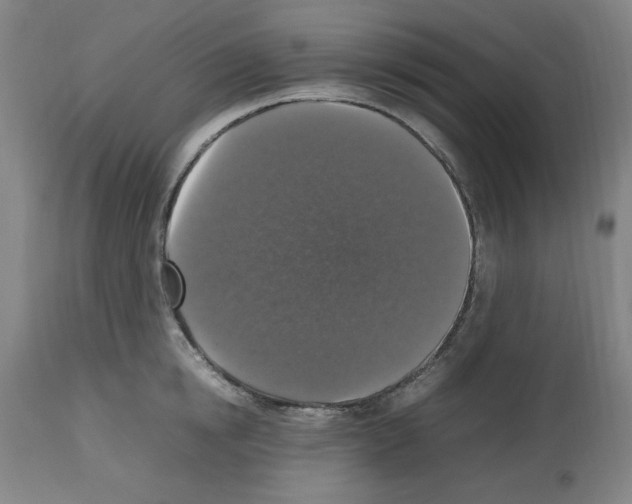 X0000112470854200909281044