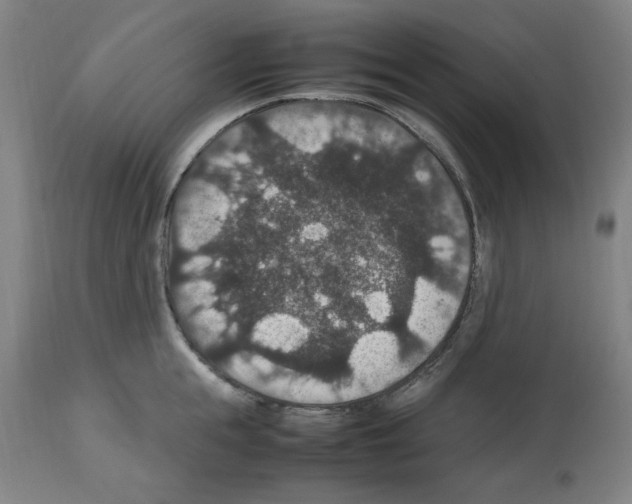 X0000112470855200909281044