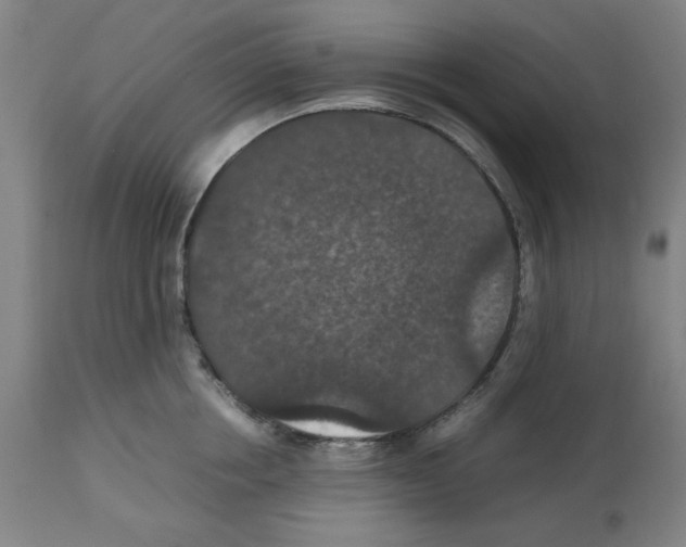 X0000112470858200909281044