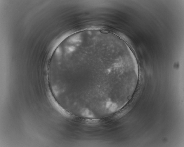 X0000112470859200909281044