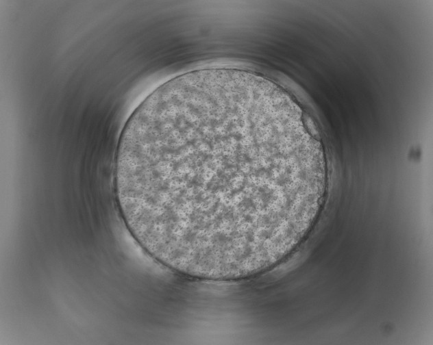 X0000112470860200909281044