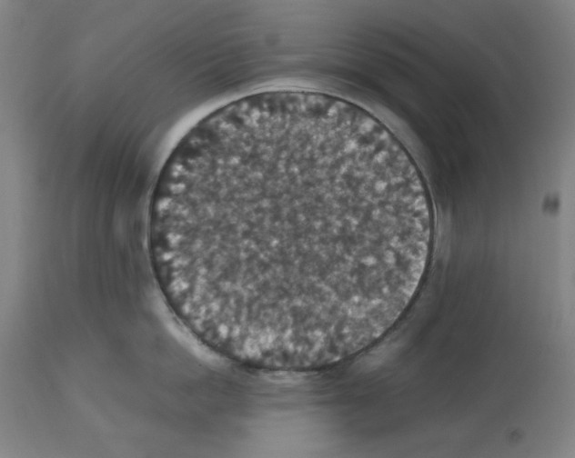 X0000112470862200909281044