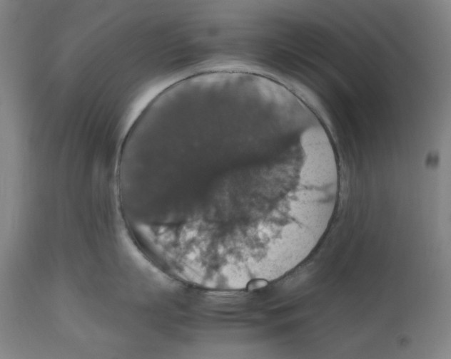 X0000112470863200909281044