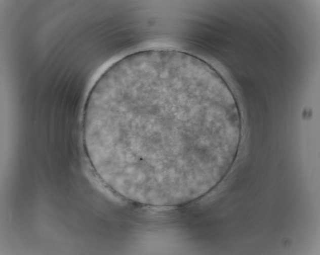 X0000112470864200909281044