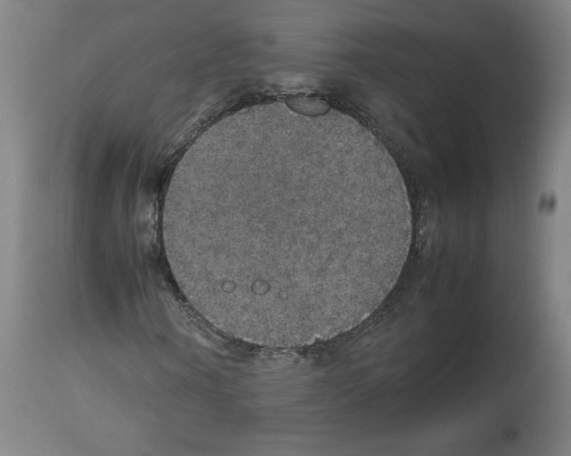 X0000112470866200909281043