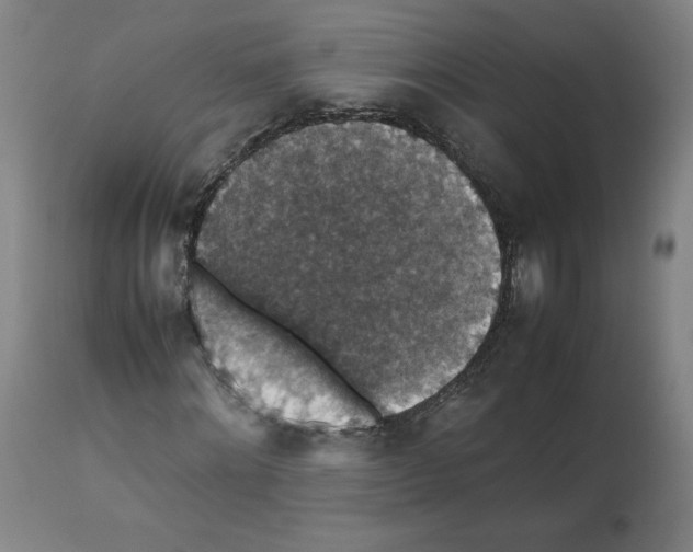 X0000112470868200909281043
