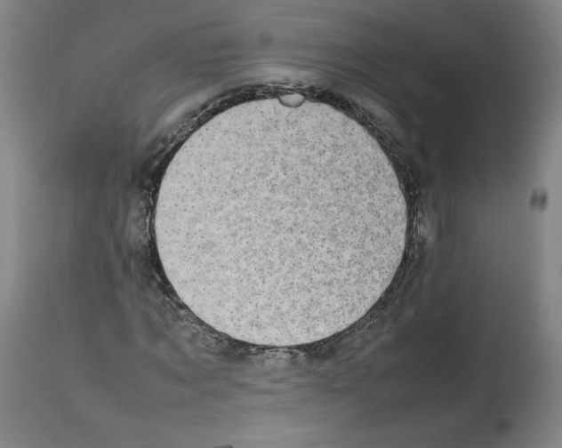 X0000112470869200909281043