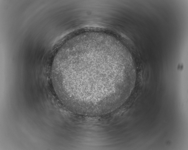 X0000112470870200909281043