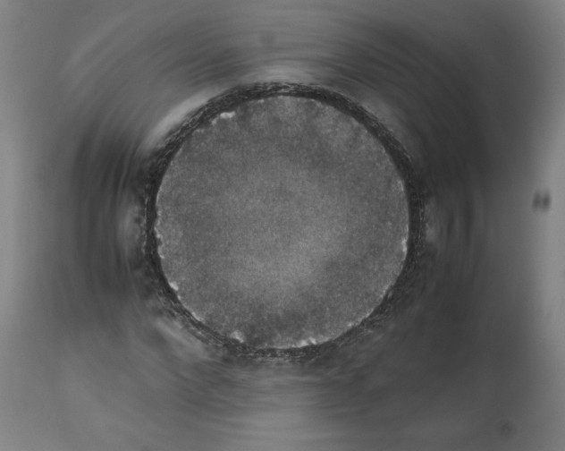 X0000112470872200909281043