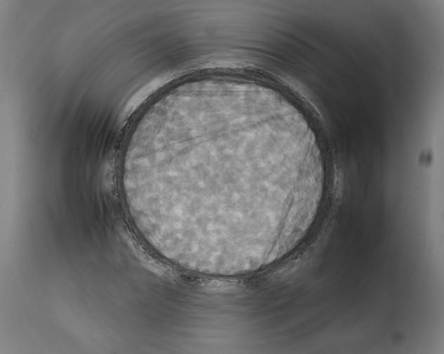 X0000112470874200909281043