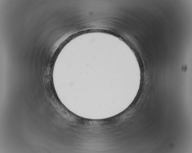 X0000112470875200909281043