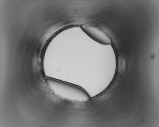 X0000112470876200909281043