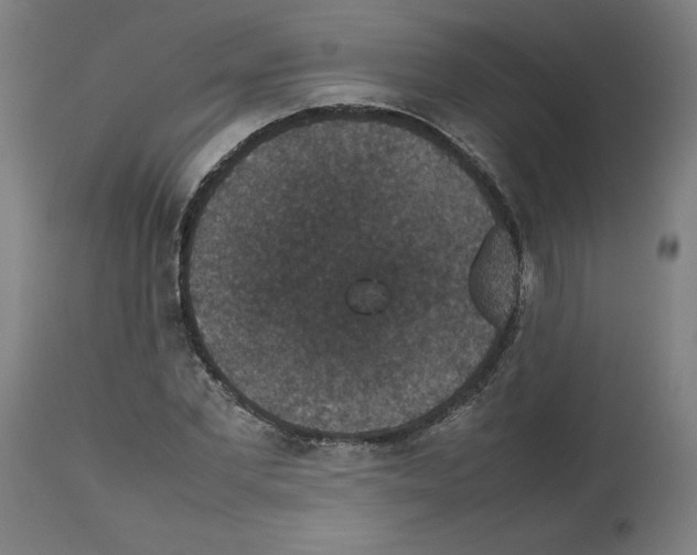 X0000112470877200909281043
