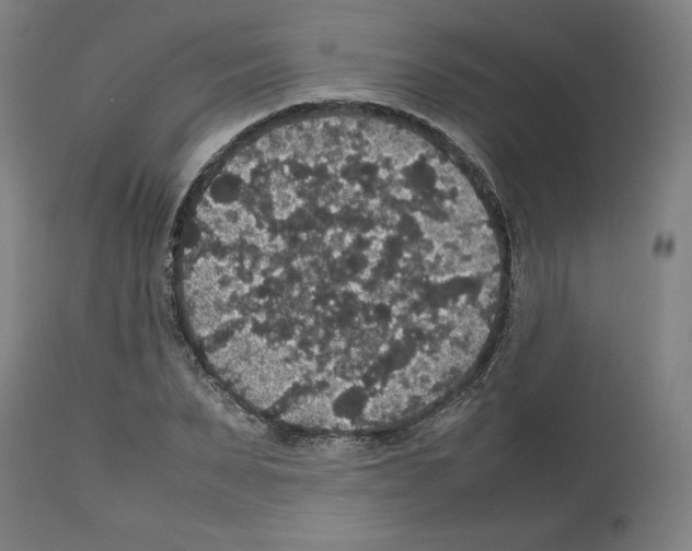 X0000112470879200909281043