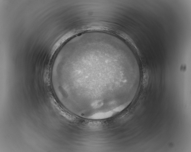 X0000112470882200909281043