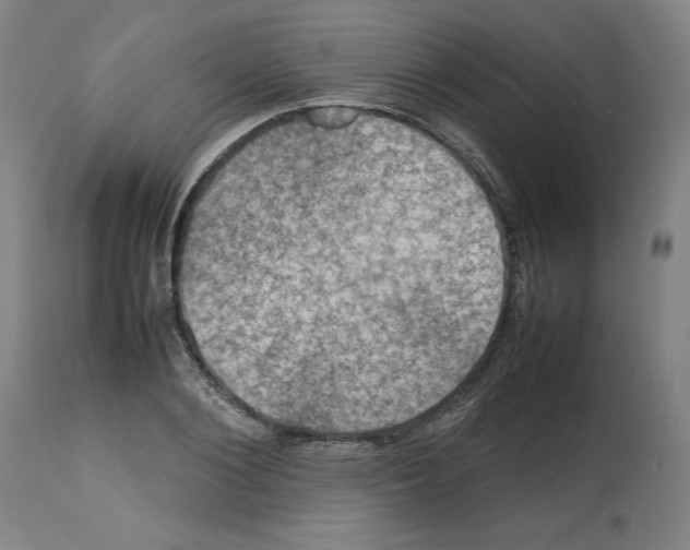 X0000112470884200909281043