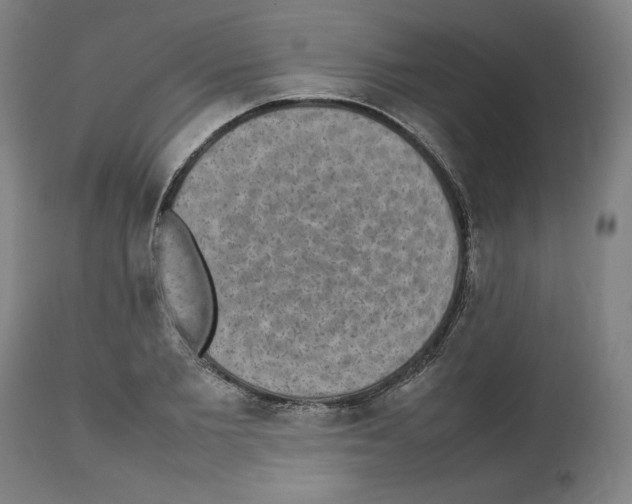 X0000112470885200909281043