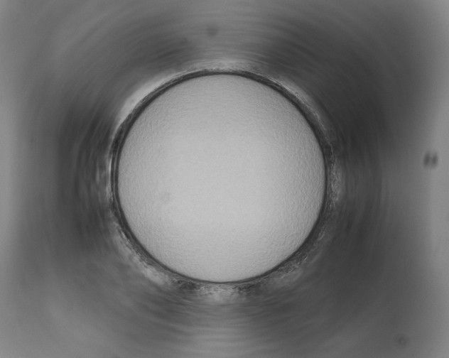 X0000112470886200909281043