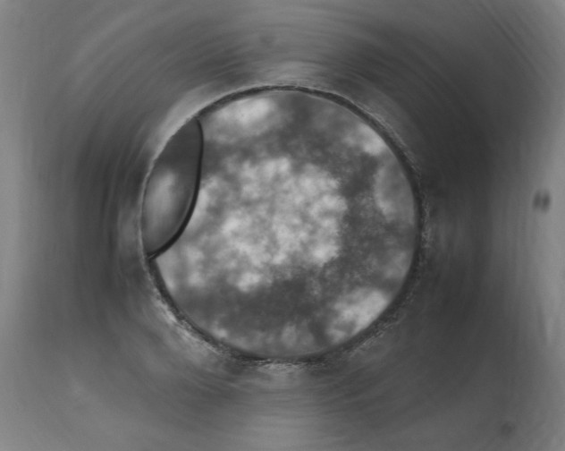X0000112470888200909281043