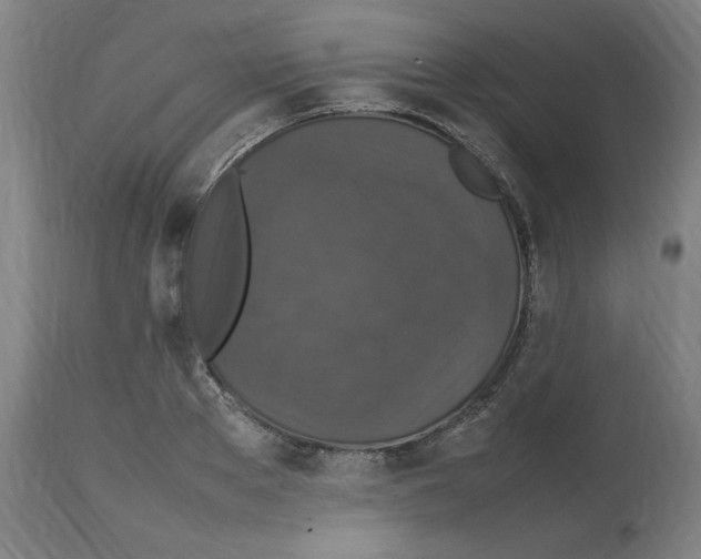 X0000112470889200909281043