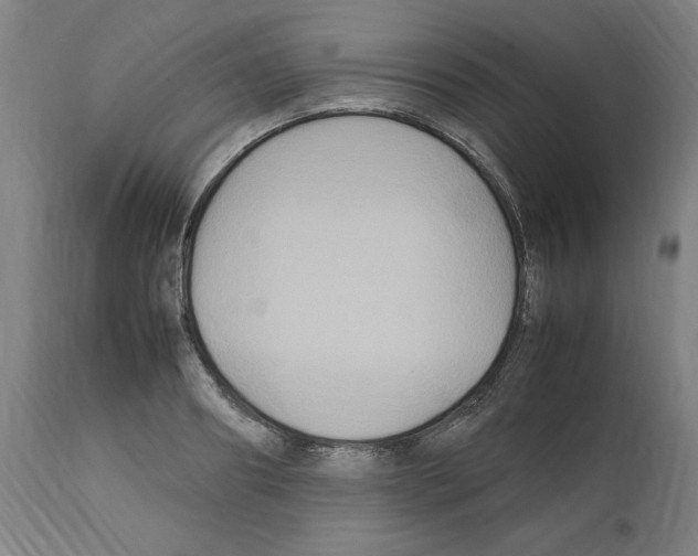 X0000112470890200909281043