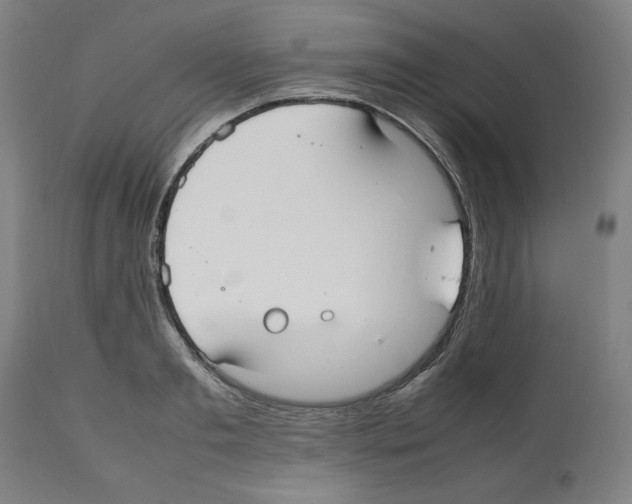 X0000112470893200909281043