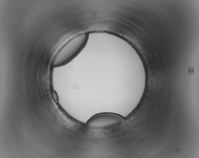 X0000112470894200909281043