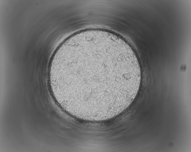 X0000112470895200909281043