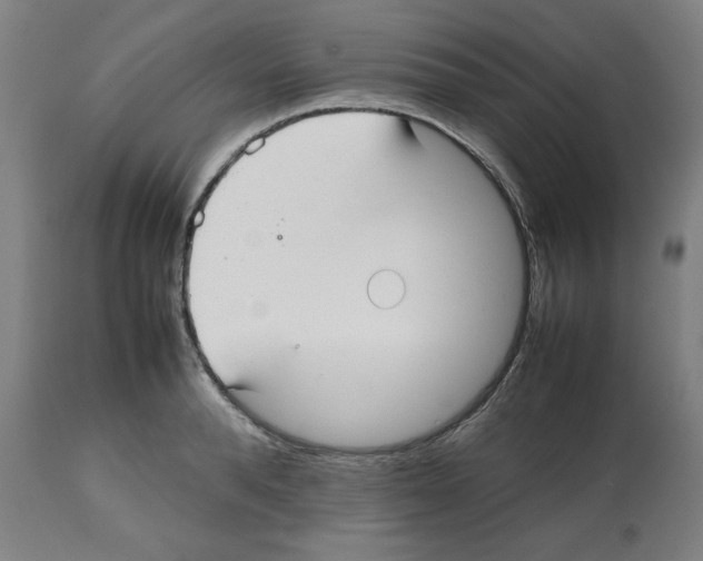 X0000112470896200909281043